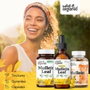 Wild & Organic Mullein Tincture 2 fl oz & Mullein Gummies 60 Count 5