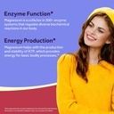 Doctor's Recipes Magnesium Glycinate Supplement, Amino Acid Chelated, Non Buffered, High Absorption, Easy on Stomach, Support Calm, Bone, Heart, Energy, Nerve, 90 Vegan Capsules 5