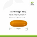 Terry Naturally CuraMed 750mg - Antioxidant Supplement for Brain & Heart Health - Supplement with High-Potency Curcumin Complex - Kidney, Liver & Immune Health Support - 60 Softgels (Pack of 3) 4