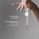 NutraChamps Black Elderberry Syrup, Potent 2000mg 10:1 Extract Sambucus Elderberry Syrup Antioxidant, Drops Berry Flavor, Liquid Elderberry Extract Sugar-Free 2oz, Immune Support 6