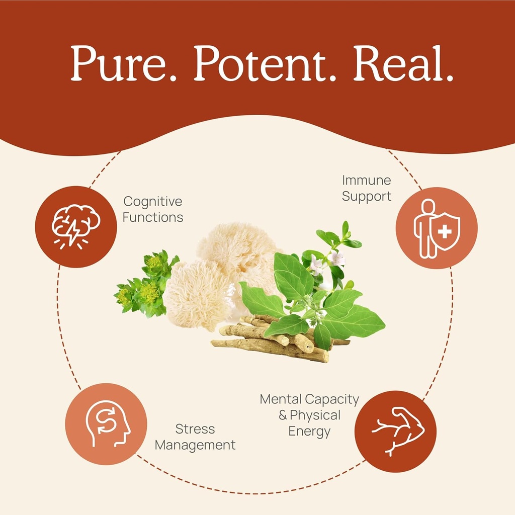 Real Mushrooms RealClarity (60ct) and Cordyceps (120ct) Capsules Bundle - Mushroom Supplement for Mental Clarity, Focus, Energy & Vitality - Vegan, Non-GMO, Verified Levels of Beta-Glucans 5