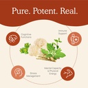 Real Mushrooms RealClarity (60ct) and Cordyceps (120ct) Capsules Bundle - Mushroom Supplement for Mental Clarity, Focus, Energy & Vitality - Vegan, Non-GMO, Verified Levels of Beta-Glucans 5