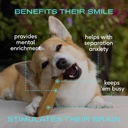 Native Pet Omega Oil for Dogs - Fish Oil Supplements 8 Oz & 5 Small Yak Chews for Dogs | Pasture-Raised and Organic Yak Cheese Himalayan Churpi Sticks 4