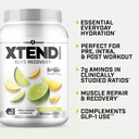 Xtend XTEND Original BCAA Powder 7g BCAA and 2.5g L-Glutamine, Sugar Free Post Workout Muscle Recovery Drink with Amino Acids for Men & Women, 90 Servings 5