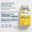 Solaray High Potency Betaine HCL with Pepsin - Hydrochloric Acid Supplement for Digestive Health - with Betaine Hydrochloride and Digestive Enzymes - Gut Health Support - 60-Day Guarantee, 250 VegCaps 3