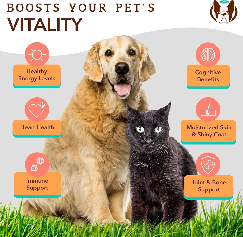 Natural Dog Company Coldwater Atlantic Salmon for Dogs 2 Pack -16oz - Senior Dog Fish Oil Supplement with Omega 3, Easy to Digest, Joint Support, for Multi Dog Famillies, Large Breed Dogs 5