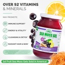 Wildcrafted Irish Sea Moss Gel | Made in USA | Rich in Vitamins & Minerals | Sea Moss Gel Raw | Nutritional Supplement | Elderberry (16 oz) 4