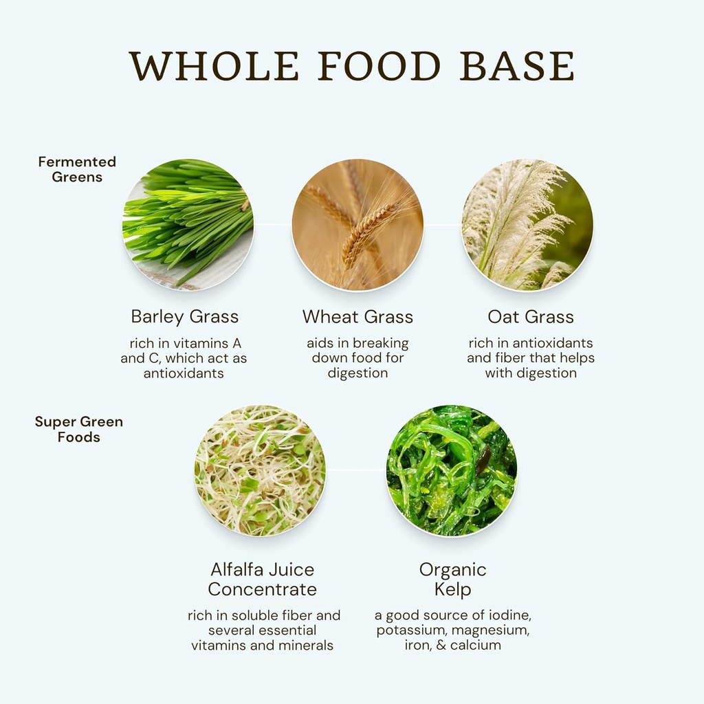 VTC VitaTradingCo. Probiotic Gut Defense | Probiotics and Prebiotics for Gut Health & Digestion | 1 Billion CFU with Whole Food Base | 90 Capsules 6