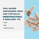 Ancient Nutrition Probiotics for Men, SBO Probiotics Men's 60 Ct, for Gut Health, Digestive and Immune Support, Boosts Muscle Mass and Fat Metabolism, 25 Billion CFUs* Per Serving 4