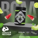 Fossil Fuel BCAA Sugar-Free Post-Workout Powder with BCAA’s, Glutamine, Vitamin B6 After Workout, Amino Acids for Muscle Recovery, Endurance and Hydration, Honeydew Watermelon (30 Servings) 6