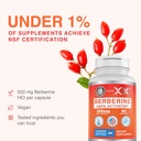 Genex Formulas Berberine HCl 500mg (90 Capsules) - NSF Certified for Safety, Quality & Label Accuracy - Supports Immune Health - Non-GMO, Gluten Free, Vegetarian 4