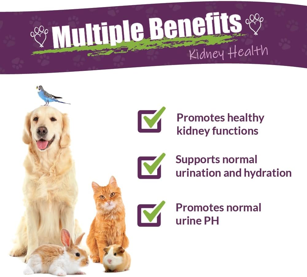 Amber NaturalZ Kidney Rejuvenator Herbal Supplement for Dogs, Cats, Birds, Rabbits, and Guinea Pigs | Supports Normal Kidney Function | Natural Aid for Kidney Health 3