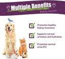 Amber NaturalZ Kidney Rejuvenator Herbal Supplement for Dogs, Cats, Birds, Rabbits, and Guinea Pigs | Supports Normal Kidney Function | Natural Aid for Kidney Health 3