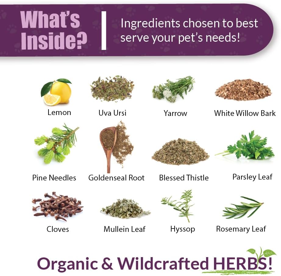 Amber NaturalZ Kidney Rejuvenator Herbal Supplement for Dogs, Cats, Birds, Rabbits, and Guinea Pigs | Supports Normal Kidney Function | Natural Aid for Kidney Health 4