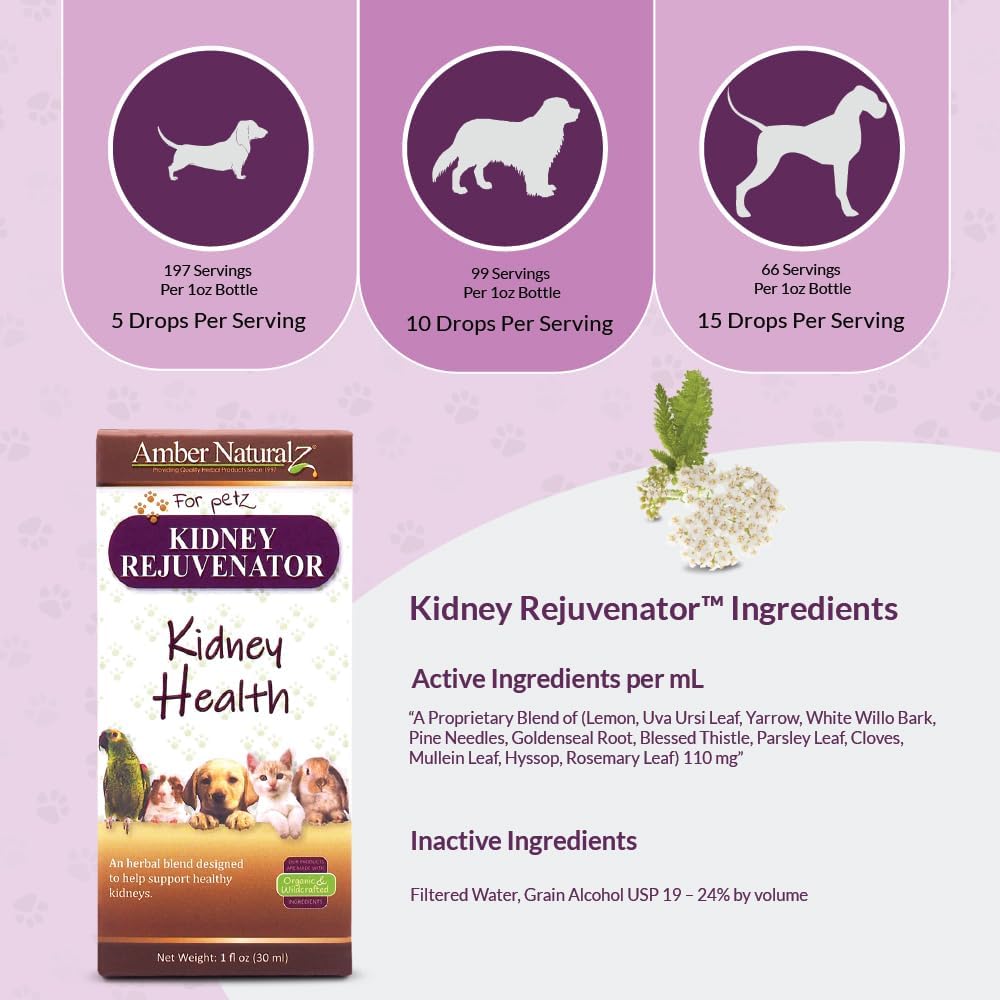 Amber NaturalZ Kidney Rejuvenator Herbal Supplement for Dogs, Cats, Birds, Rabbits, and Guinea Pigs | Supports Normal Kidney Function | Natural Aid for Kidney Health 5