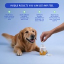 Omega 3 Fish Oil for Dogs - 120 Chewable Tablets - with Omega 3, 6, and 9, Vitamin E for Dog Shedding, Itchy, Dry Skin, Joint & Heart Support 3