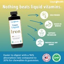 LIQUIDHEALTH Vegan Liquid Iron Supplement with SunActive & Ferrochel Fe - Natural Energy, Immune System & Metabolic Support, Increase Mental Clarity, Prenatal/Postnatal - USA Made, Non-GMO (3 Pack) 3