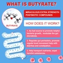 2 Pack Sugar Free Vitamin C + D3 + Zinc Gummies for Adults 50+ + 1 Pack Butyrate Gummies 5