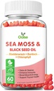 Sea Moss Gummies for Adults Kids with Chlorophyll, Bladderwrack, Burdock Root, Blck Seed Oil, Vitamin C & D3, Zinc, 8-in-1 Potent Formula Supports Immune System & Boost Energy (1-Pack) 2