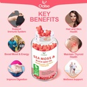 Sea Moss Gummies for Adults Kids with Chlorophyll, Bladderwrack, Burdock Root, Blck Seed Oil, Vitamin C & D3, Zinc, 8-in-1 Potent Formula Supports Immune System & Boost Energy (1-Pack) 3