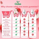 Sea Moss Gummies for Adults Kids with Chlorophyll, Bladderwrack, Burdock Root, Blck Seed Oil, Vitamin C & D3, Zinc, 8-in-1 Potent Formula Supports Immune System & Boost Energy (1-Pack) 6