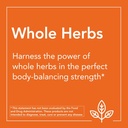 NOW Supplements, Yucca (Yucca spp.) 500 mg, 4:1 Concentrate, Herbal Supplement, 100 Capsules (Pack of 4) 5