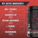 Ryse Project: Blackout Pump Powder | Pump, Power, Endure | Betaine Anhydrous & NO3-T Nitrate Formula for Max Pump | 25 Servings (Electric Lemonade) 4