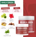 Amla Powder, Green Tea Superfood Supplement with Pumpkin Spice & Hibiscus & Elderberry, Organic, Vegan, 30 Servings 4