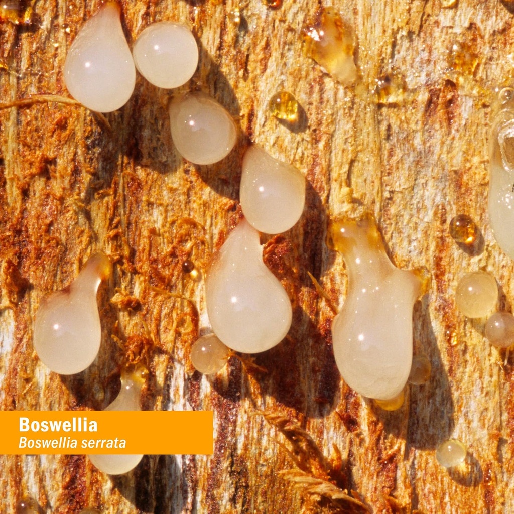 Herb Pharm Certified Organic Boswellia Liquid Extract for Joint Support, 1 Fl Oz 3