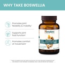 Himalaya Boswellia, Joint Support for Mobility and Flexibility, Promotes Tissue Preservation, 250 mg, 60 Capsules 5