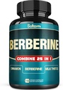 Satoomi 25in1 Berberine Supplement - Berberine Hcl - Ceylon Cinnamon - Milk Thistle and More 2