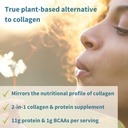 Igennus Advanced Vegan Vanilla Collagen Peptide Powder, Enhanced with Glycine, Proline & Hydroxyproline & Cofactor Vitamin C, Non GMO, Vegetarian Plant Based Collagen Powder Booster, 35 Servings 4