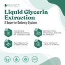 Active Adrenal - Advanced Adrenal Support Tincture - Liquid Delivery for Better Absorption - Ashwagandha, B-Vitamins, Magnesium and More 2