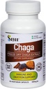 Sayan Siberian Chaga Mushroom Extract – 90 Capsules/420mg ea – Natural & Wild-Harvest Antioxidant Supplement – Immune System Support & Regulate Body Functions – Vegan, Non-GMO, No Fillers or Additives 2