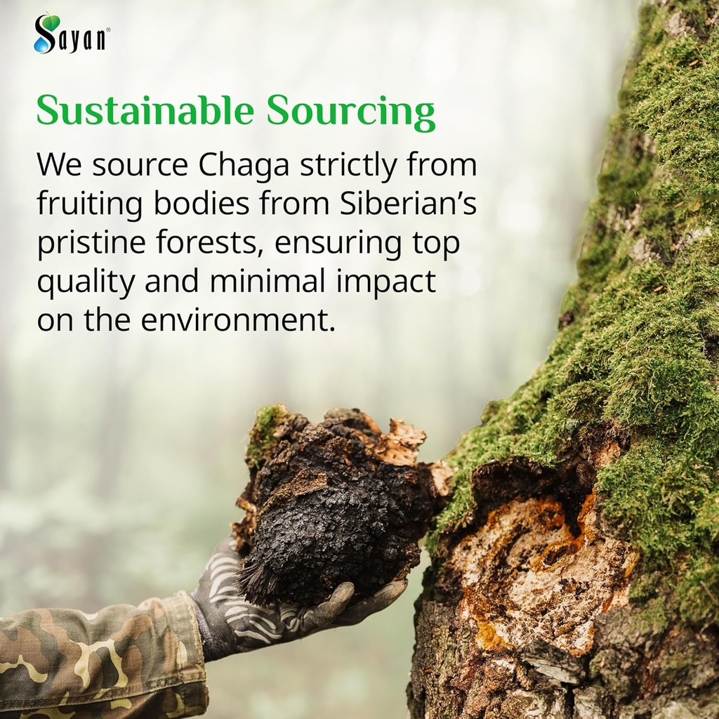 Sayan Siberian Chaga Mushroom Extract – 90 Capsules/420mg ea – Natural & Wild-Harvest Antioxidant Supplement – Immune System Support & Regulate Body Functions – Vegan, Non-GMO, No Fillers or Additives 6