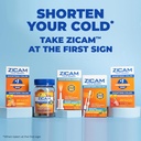 Zicam Cold Remedy No-Drip Nasal Spray with Cooling Menthol & Eucalyptus, Homeopathic, Zinc-Free, Pre-Cold Medicine, Shortens Cold Duration, 0.5 Ounce 3
