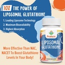2400MG Liposomal Glutathione, with Vitamin C, Milk Thistle & Alpha-Lipoic Acid, Master Antioxidants, Pure Reduced L-Glutathione - Immune System, Cell Repair, Energy, High Absorption, 120 Softgels 5