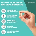 nootrix-smart-mushrooms-complex-suppleme-3.jpg