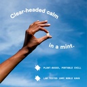 Up Side Kava Chill Pills, Kava Kava Candy Moon Mint Flavor, Natural Supplement for Calm & Stress Support, 6 Pack 20 Mints 5