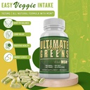 Daily Health, Ultimate Greens with MSM 1925 mg 540 Capsules Vegan Friendly No GMO Gluten or Soy 3