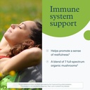 Youtheory Mushroom Immune Complex - Vegan Immune Support Supplement* - Organic Mushroom Blend with Chaga, Cordyceps, Lion's Mane, Maitake & More - 60 Vegetarian Capsules 4