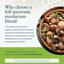 Youtheory Mushroom Immune Complex - Vegan Immune Support Supplement* - Organic Mushroom Blend with Chaga, Cordyceps, Lion's Mane, Maitake & More - 60 Vegetarian Capsules 5