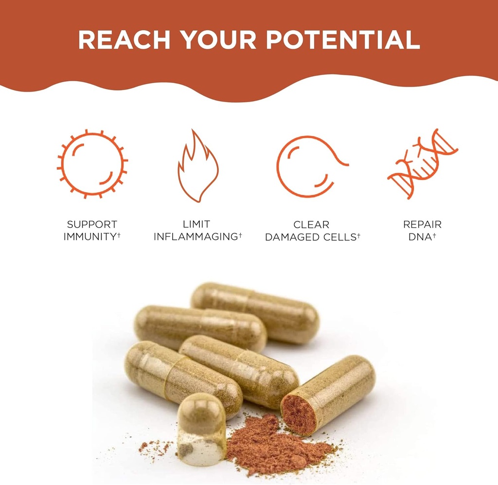 Healthycell Telomere Length + AC-11 | DNA Repair Supplements for Anti-Aging and Cell Health 4