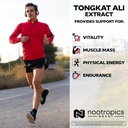 Nootropics Depot Tongkat Ali Extract Capsules | 200mg | 120 Count | 2% Eurycomanone by HPTLC | Eurycoma longifolia Root Extract 5