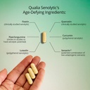 Qualia Senolytic Supplement, Fisetin, Quercetin, Piperlongumine & More, Aging Supplement That Supports Optimal Cell Repair & Rejuvenation, Naturally Eliminate Zombie Cells, Capsules, 2 Box 5