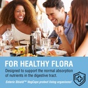 SOLARAY Super Multidophilus 24 Strain Probiotic | 30 Billion CFU | Healthy Gut Support | 30 Serv | 60 Enteric VegCaps 6