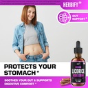 HERBIFY Bundle - Lions Mane Drops & Licorice Root Extract - Brain Boost & Nervous Stomach Support 6