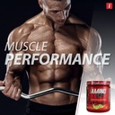 iSatori Amino-GRO BCAA Powder, Branched Chain Amino Acids with Glutamine, Electrolyte Powder & Bio-GRO Bio-Active Peptides for Muscle Growth & Post Workout Recovery, Frosted Lemonade (30 Servings) 3