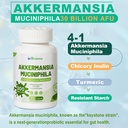 Akkermansia Muciniphila Probiotic for Gut Management - GLP-1 Boosting Supplement with Chicory Inulin, Turmeric, Resistant Starch, Vegan & Gluten Free - 30 Day Supply 5