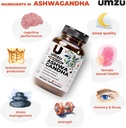 UMZU Ashwagandha Advanced Stress & Cortisol Support Supplement, Memory, Focus, Cognition, 24-Hour Extended Release (30 Day Supply | 30 Capsules) 4